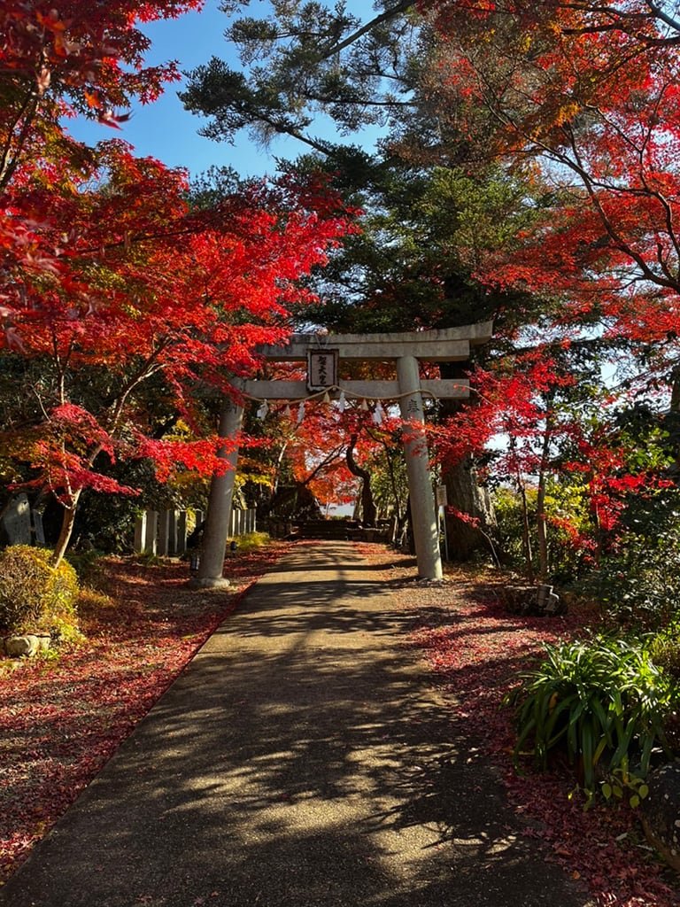 ⛩️ 성천궁 서강사(쇼텐구 사이코지) 이미지 1